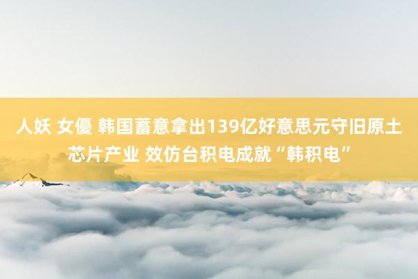 人妖 女優 韩国蓄意拿出139亿好意思元守旧原土芯片产业 效仿台积电成就“韩积电”