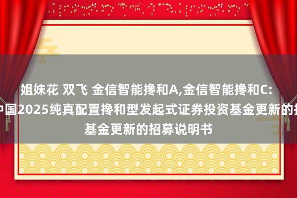 姐妹花 双飞 金信智能搀和A，金信智能搀和C: 金信智能中国2025纯真配置搀和型发起式证券投资基金更新的招募说明书