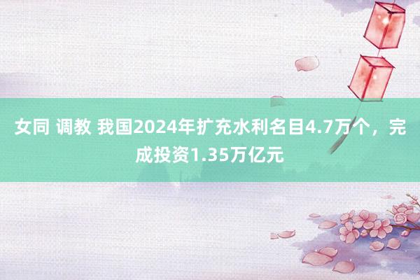 女同 调教 我国2024年扩充水利名目4.7万个，完成投资1.35万亿元