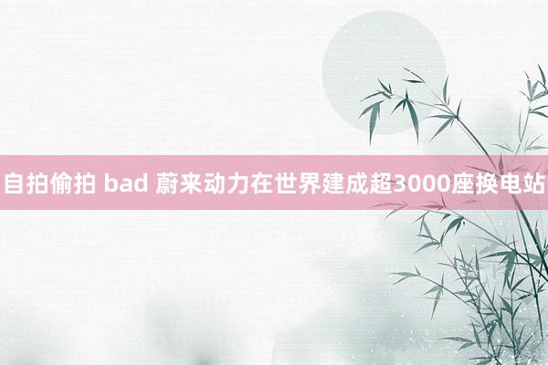 自拍偷拍 bad 蔚来动力在世界建成超3000座换电站