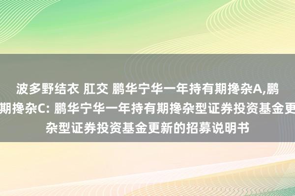 波多野结衣 肛交 鹏华宁华一年持有期搀杂A，鹏华宁华一年持有期搀杂C: 鹏华宁华一年持有期搀杂型证券投资基金更新的招募说明书