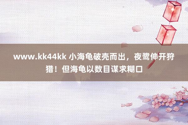 www.kk44kk 小海龟破壳而出，夜鹭伸开狩猎！但海龟以数目谋求糊口