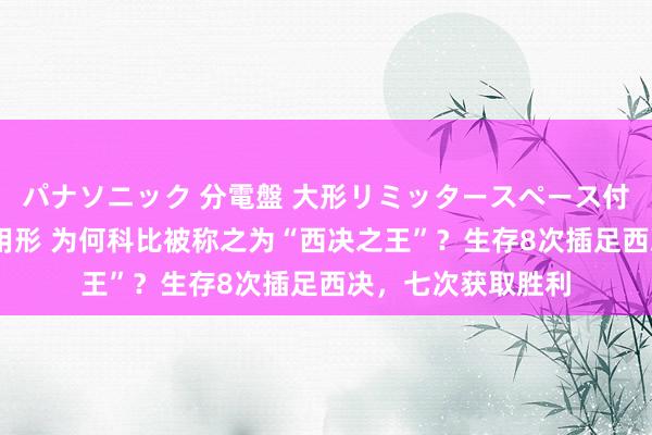 パナソニック 分電盤 大形リミッタースペース付 露出・半埋込両用形 为何科比被称之为“西决之王”？生存8次插足西决，七次获取胜利